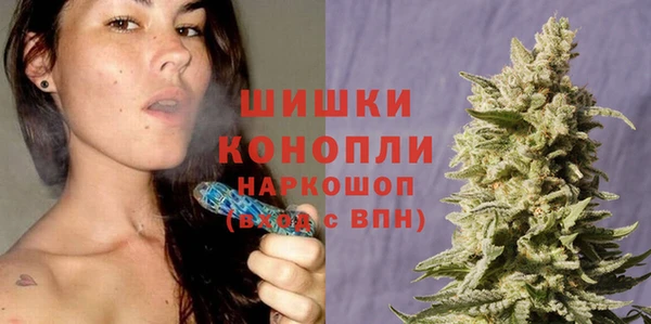 круглые Белокуриха