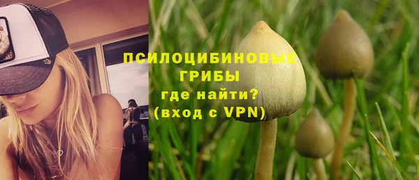 круглые Белокуриха