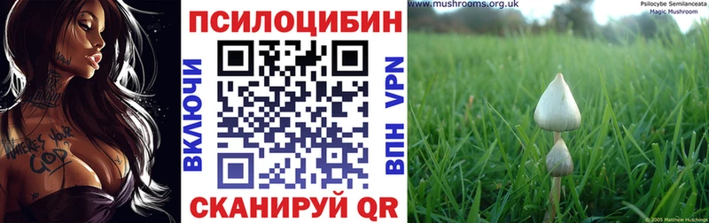 купить   Вельск  Галлюциногенные грибы мухоморы 
